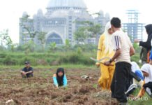 Politeknik AIR: Filosofi, Identitas, dan Arah Baru Politeknik AIR