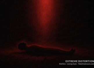 Extreme Distortion: Artificial Calm Extreme Distortion: Artificial Calm