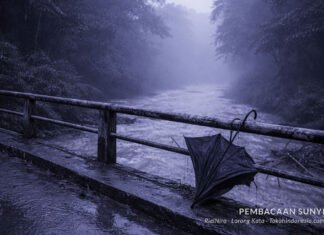 Menunda Bahagia karena Takut Kehilangan Lagi Menunda Bahagia karena Takut Kehilangan Lagi