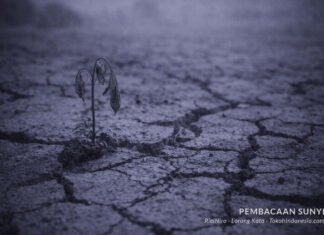 Bertahan Tanpa Harapan untuk Pulih Bertahan Tanpa Harapan untuk Pulih