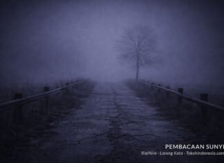 Sunyi yang Tidak Membawa Pulang